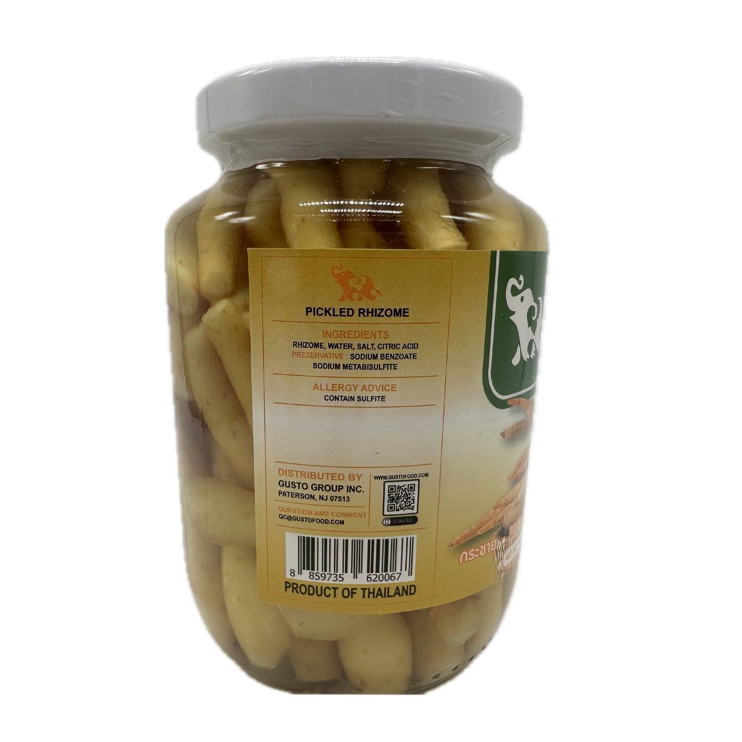 Pickled Rhizome กระชาย Rau Krachai - 16oz